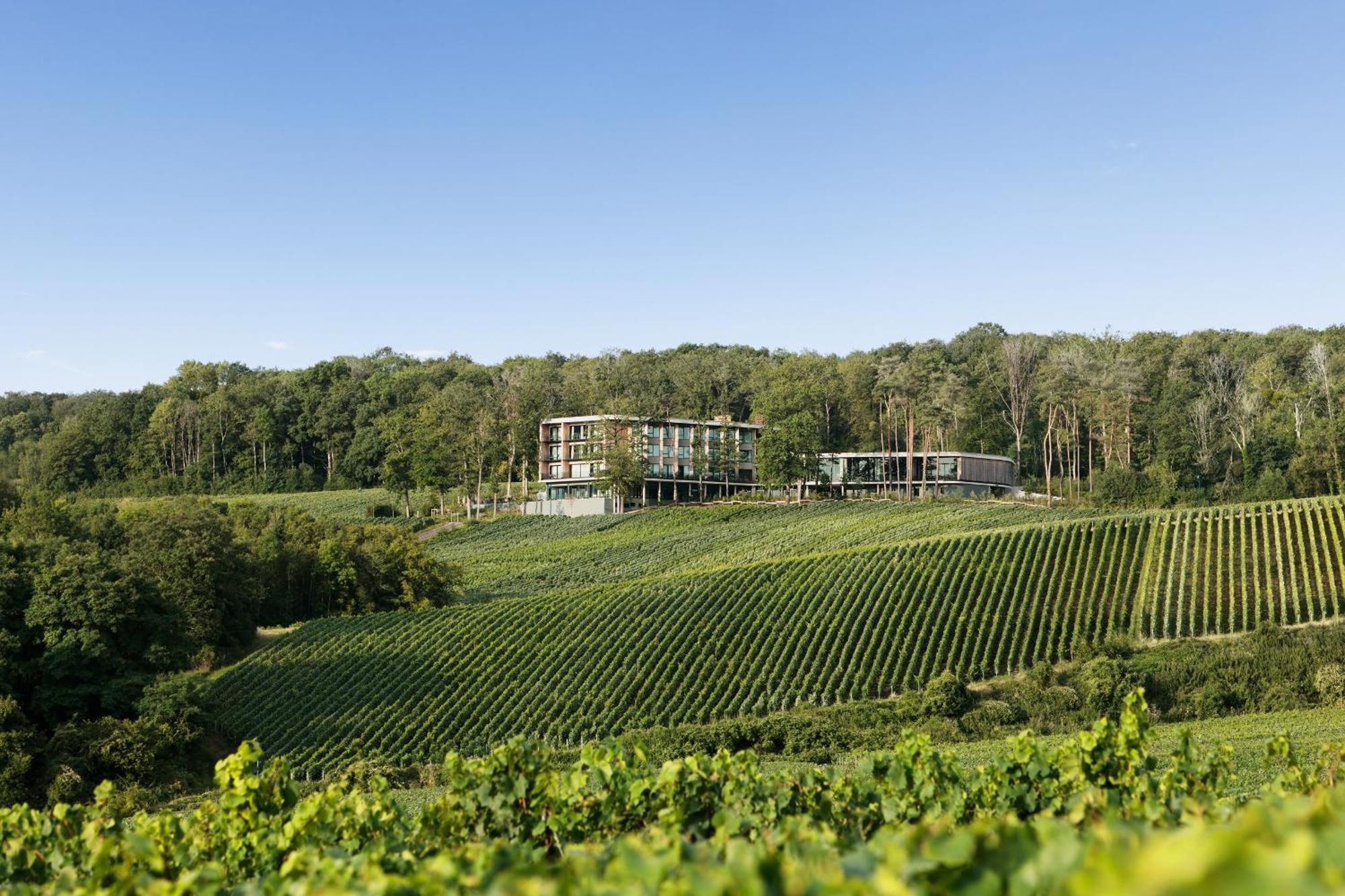 Loisium Wine & Spa Hotel Champagne Mutigny Exterior foto